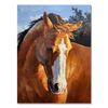 Impression Horse Painting