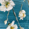 Blue Flower Set Painting